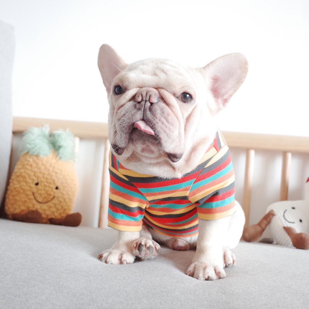 Factory Wholesale Autumn and Winter Knitted Striped Bottoming Shirt for Small Medium-Sized Cats and Dogs