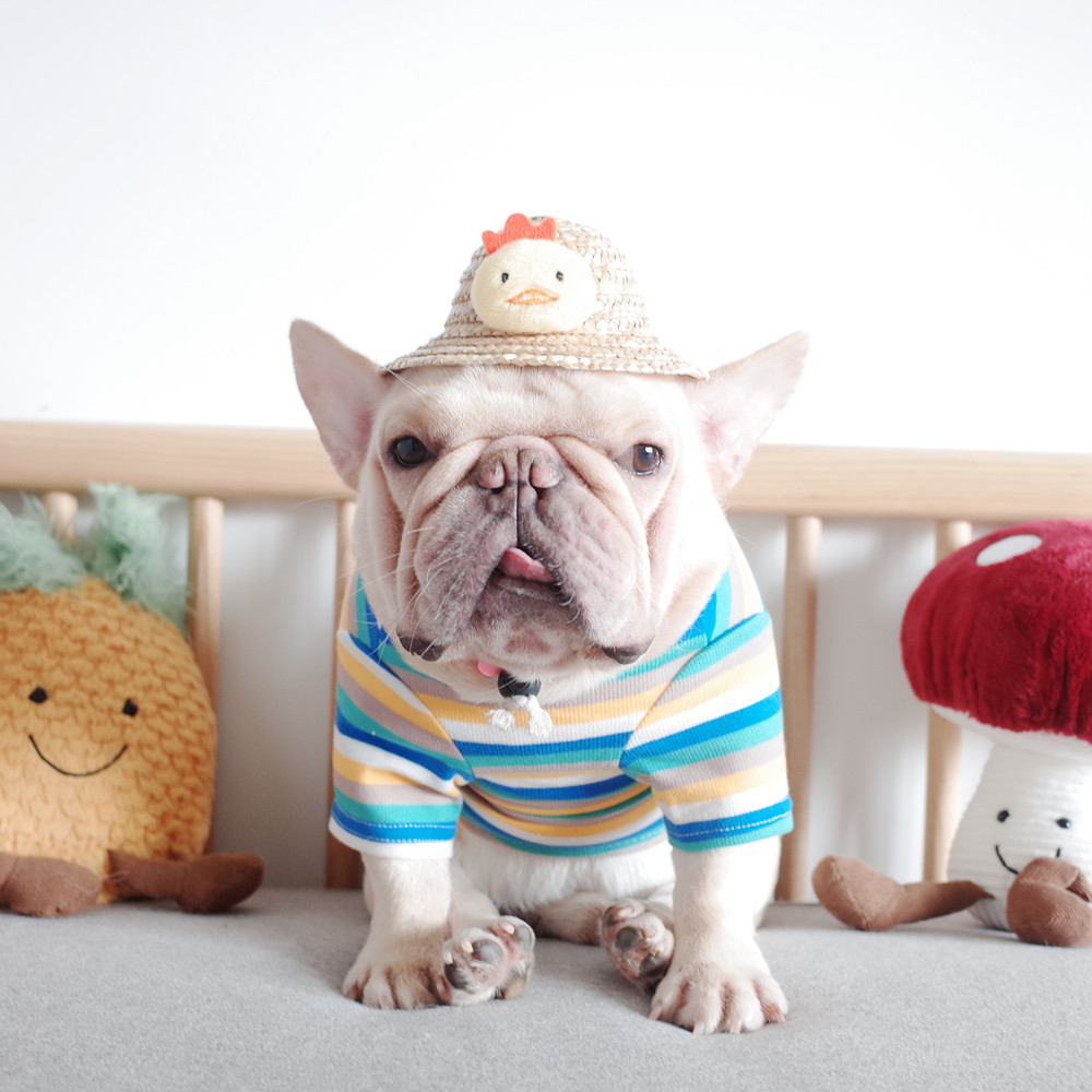 Factory Wholesale Autumn and Winter Knitted Striped Bottoming Shirt for Small Medium-Sized Cats and Dogs