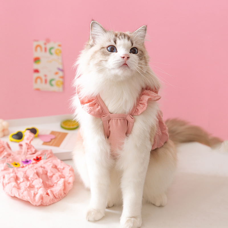 Cute Pet Fairy Cat Thin Suspender Two-Leg Clothes Suitable for Spring