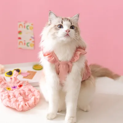Cute Pet Fairy Cat Thin Suspender Two-Leg Clothes Suitable for Spring 02