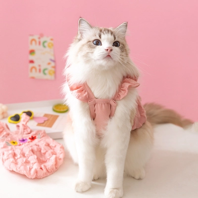 Cute Pet Fairy Cat Thin Suspender Two-Leg Clothes Suitable for Spring 02