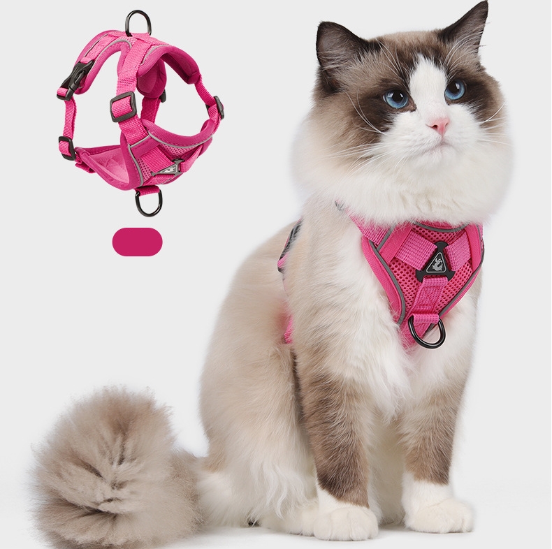 Solid Color Reflective Strip Breathable Pet Carrier with Leash Suitable for Cats and Dogs