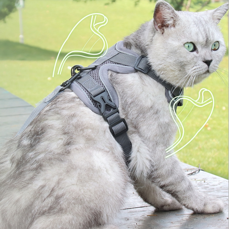 Solid Color Reflective Strip Breathable Pet Carrier with Leash Suitable for Cats and Dogs