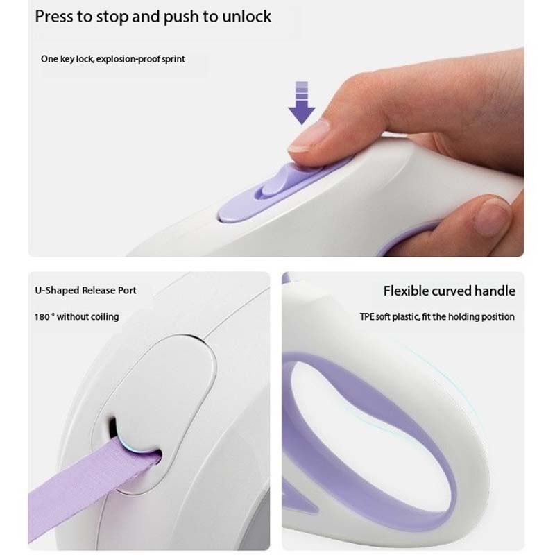 Best Fasion Light up Dog Leash for a Dog in Night