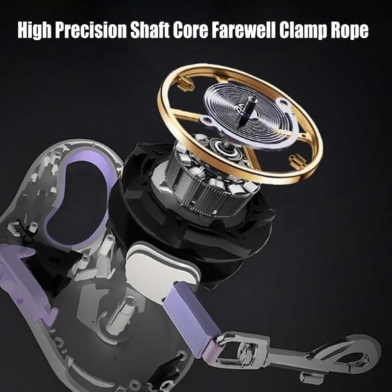 Best Fasion Light up Dog Leash for a Dog in Night