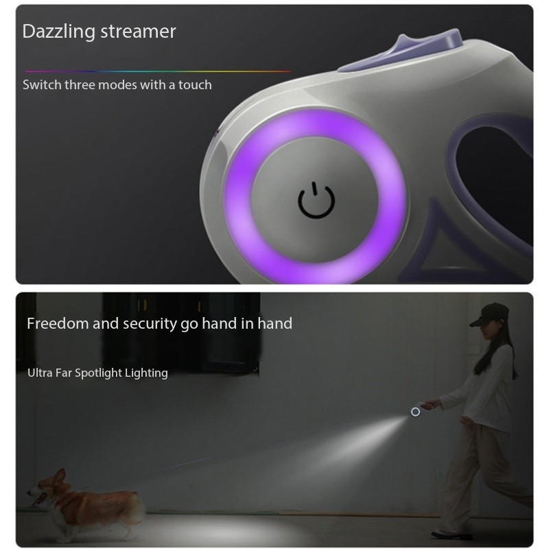 Best Fasion Light up Dog Leash for a Dog in Night