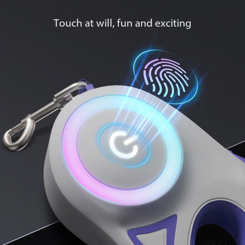 Best Fasion Light up Dog Leash for a Dog in Night