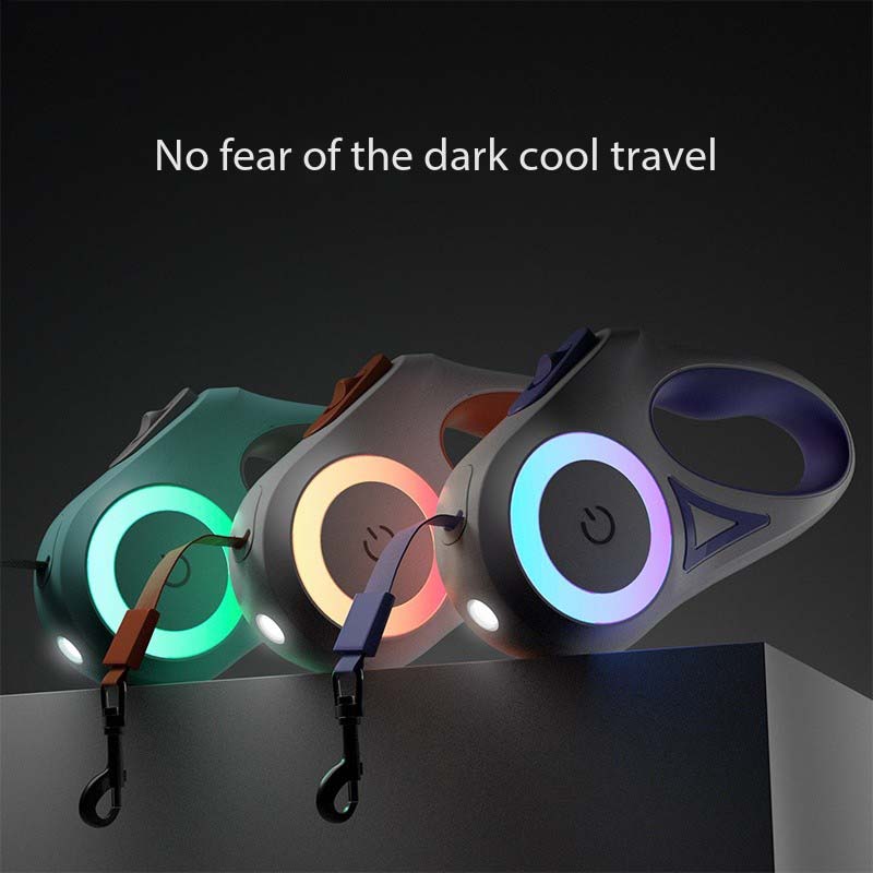 Best Fasion Light up Dog Leash for a Dog in Night