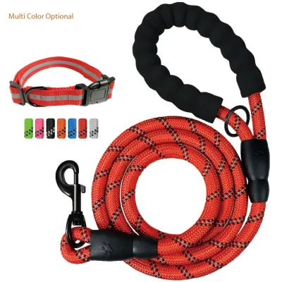 Reflective Best Dog Leash Dog and Leash for a Dog 01