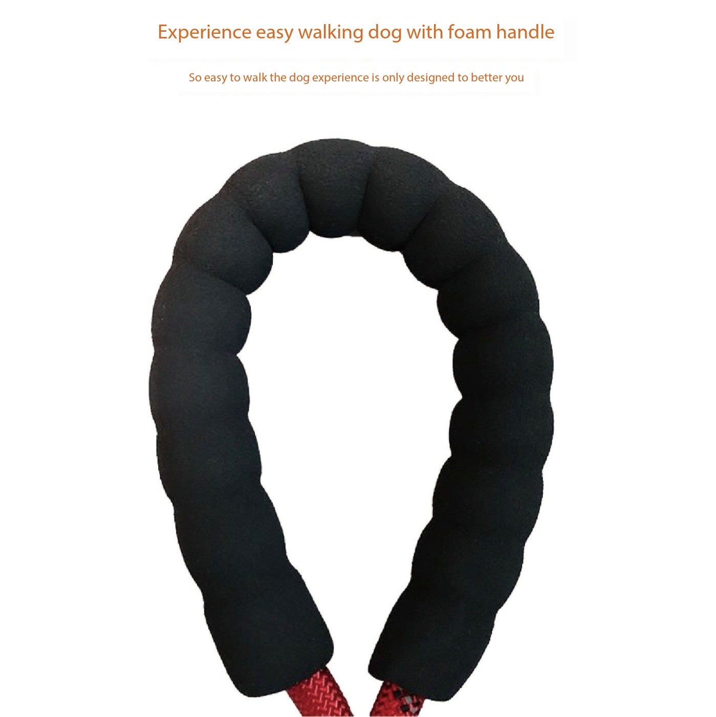 Reflective Best Dog Leash Dog and Leash for a Dog