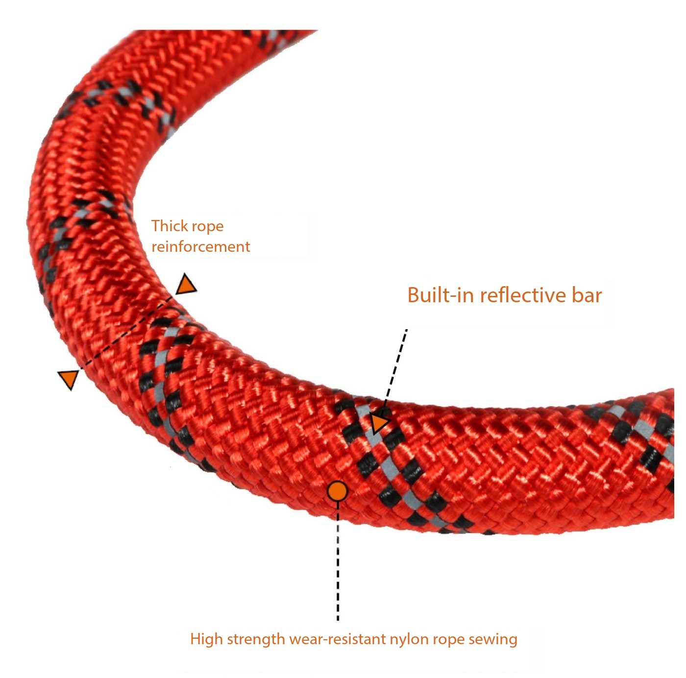 Reflective Best Dog Leash Dog and Leash for a Dog