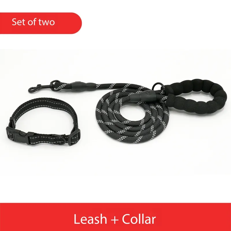 Reflective Best Dog Leash Dog and Leash for a Dog
