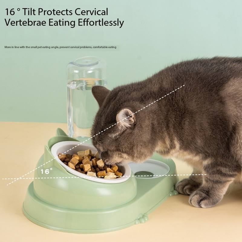 Cats Feeding Station Ceramic Cat Bowl Water And Food Dispenser 