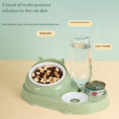 Cats Feeding Station Ceramic Cat Bowl Water And Food Dispenser  02