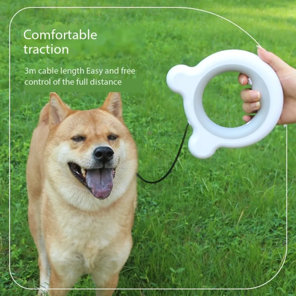 Best Hands Free Light up Pet Leash for Dogs And Cats