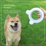 Best Hands Free Light up Pet Leash for Dogs And Cats