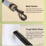 Best Hands Free Light up Pet Leash for Dogs And Cats