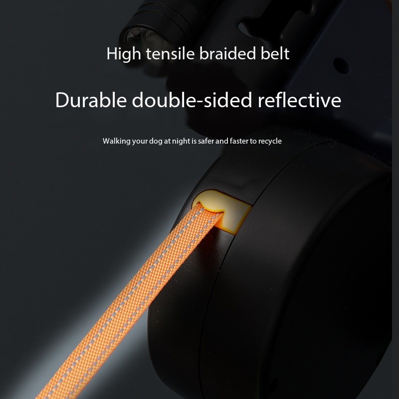 Hands Free Best Dog Leash Dog and Leash for Two Dogs