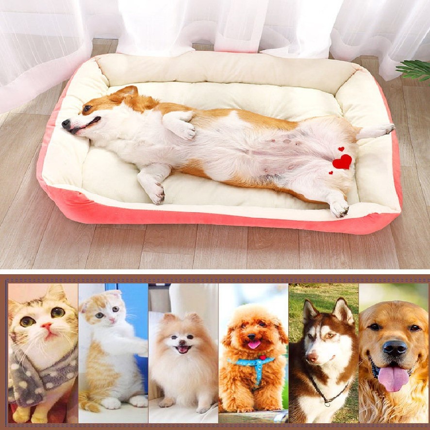 Luxury Best Washable Dog Bed for Small Medium Large Cats Dogs Puppy