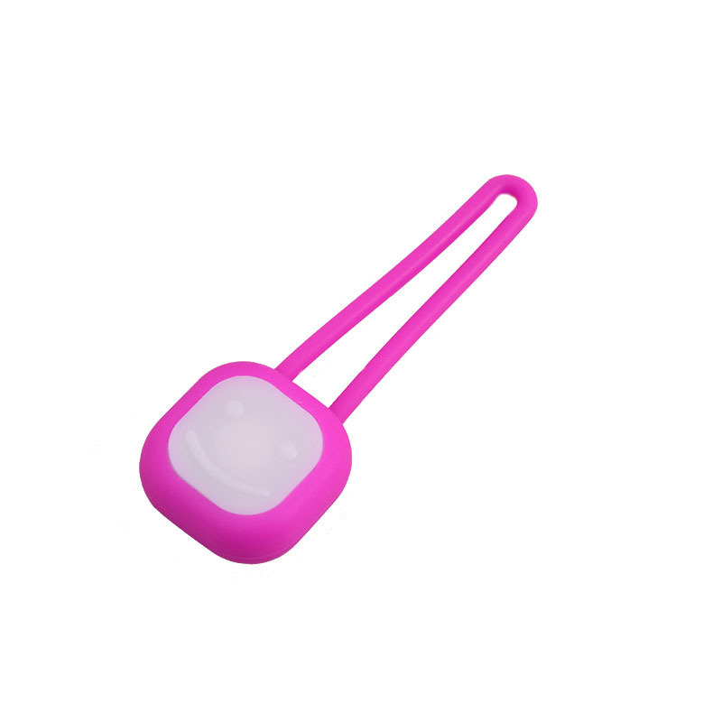 Pet Luminous Pendant Night Light Silicone Tag for Walking Dogs and Cats to Prevent Loss