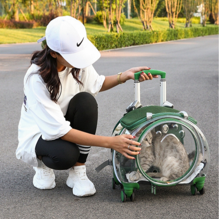 Portable Pet Trolley Case Backpack 2-in-1 Cat and Dog Outing Carrier Roller