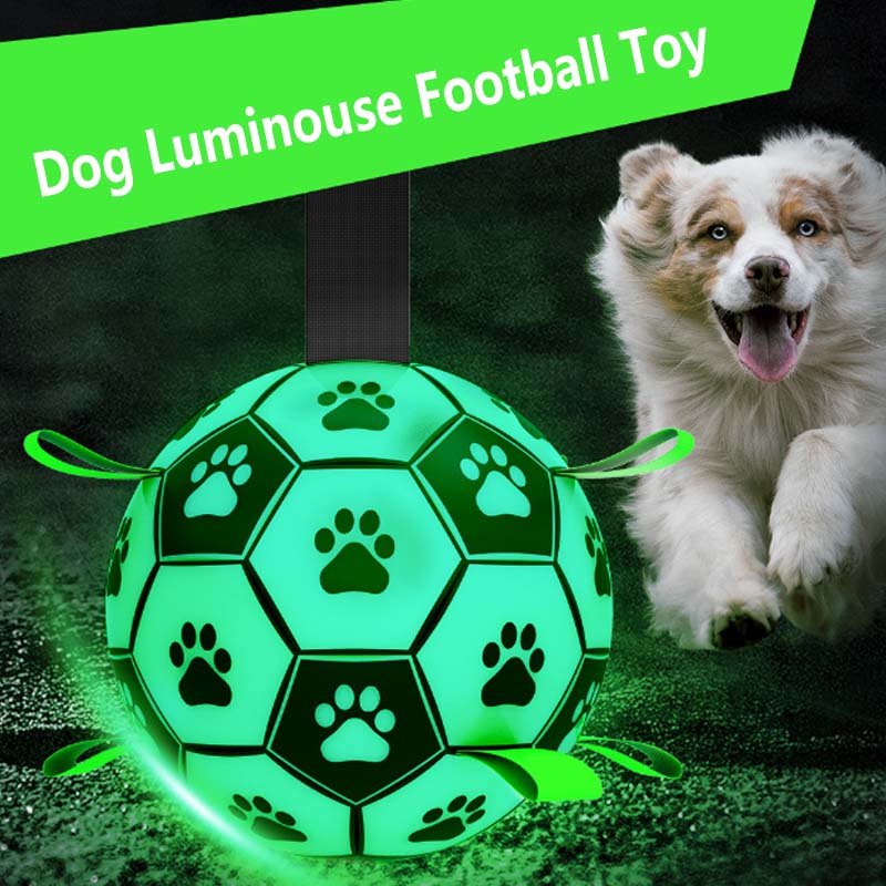 Lighted Interactive Pet Ball Pet Toy Dog Soccer Ball Dog Toy for Puppy, Dogs