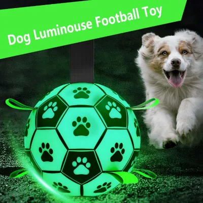 Lighted Interactive Pet Ball Pet Toy Dog Soccer Ball Dog Toy for Puppy, Dogs 02