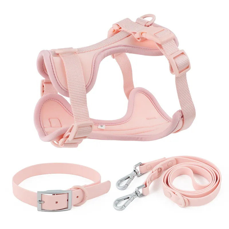 dog collar harness and leash set