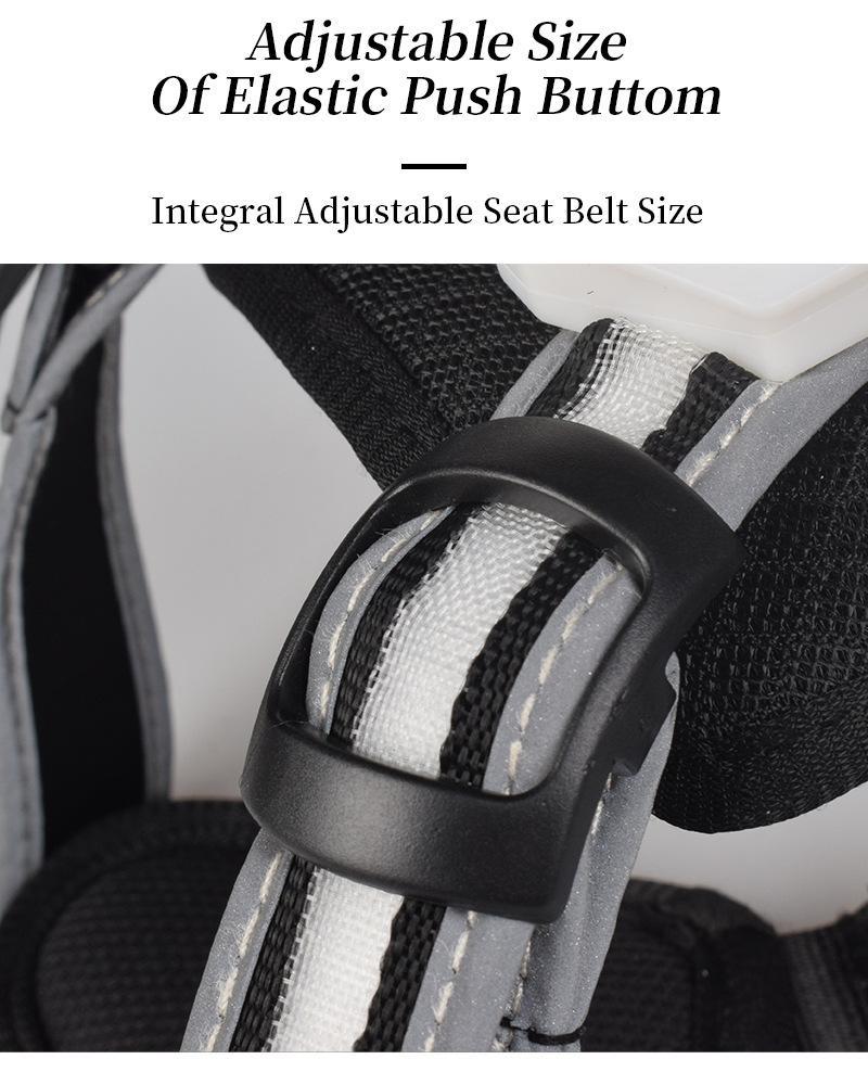 Best Reflective Rated Light up Dog Harness for Small Medium Large Dogs