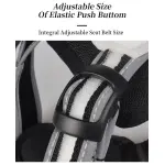 Best Reflective Rated Light up Dog Harness for Small Medium Large Dogs