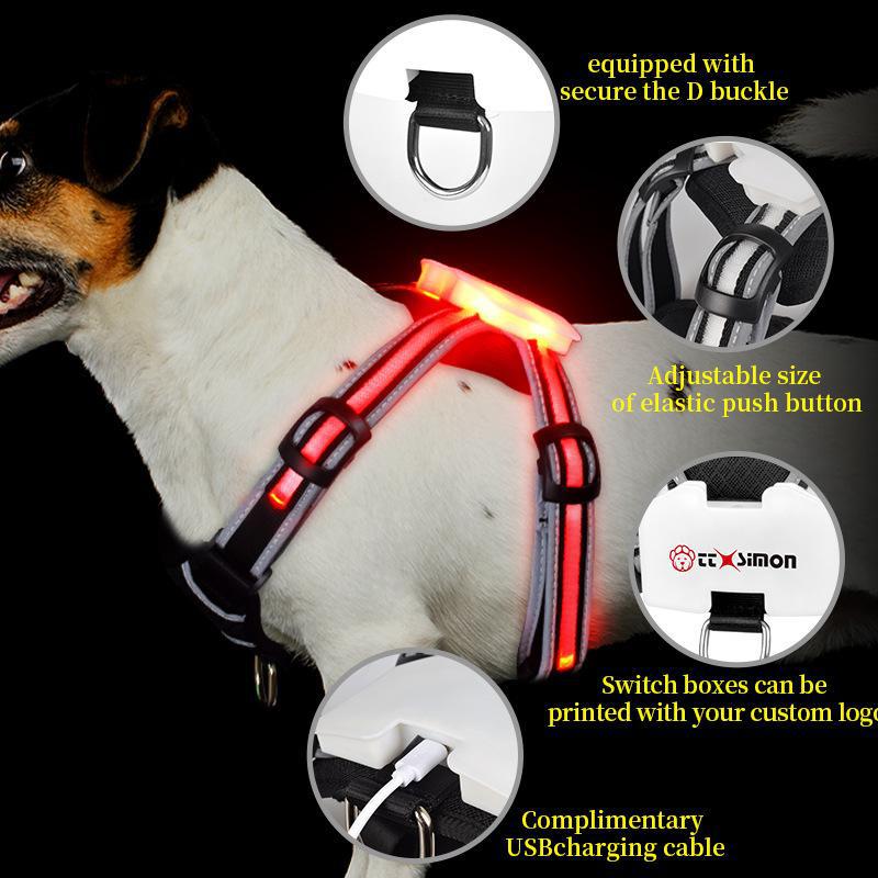 Best Reflective Rated Light up Dog Harness for Small Medium Large Dogs