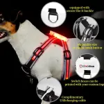 Best Reflective Rated Light up Dog Harness for Small Medium Large Dogs