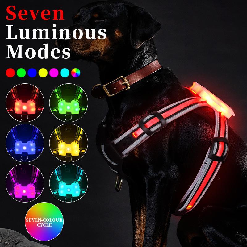 Best Reflective Rated Light up Dog Harness for Small Medium Large Dogs