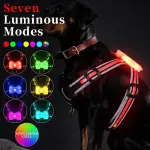 Best Reflective Rated Light up Dog Harness for Small Medium Large Dogs