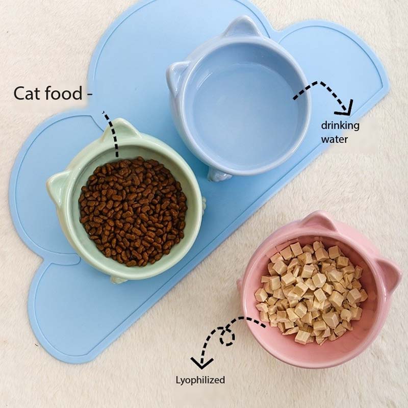 Ceramic Raised Cat Bowls Pet Bowl for Cats and Small Dogs