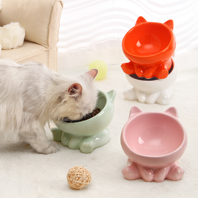 Ceramic Raised Cat Bowls Pet Bowl for Cats and Small Dogs
