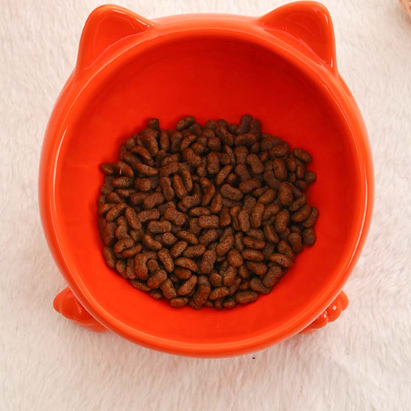 Ceramic Raised Cat Bowls Pet Bowl for Cats and Small Dogs
