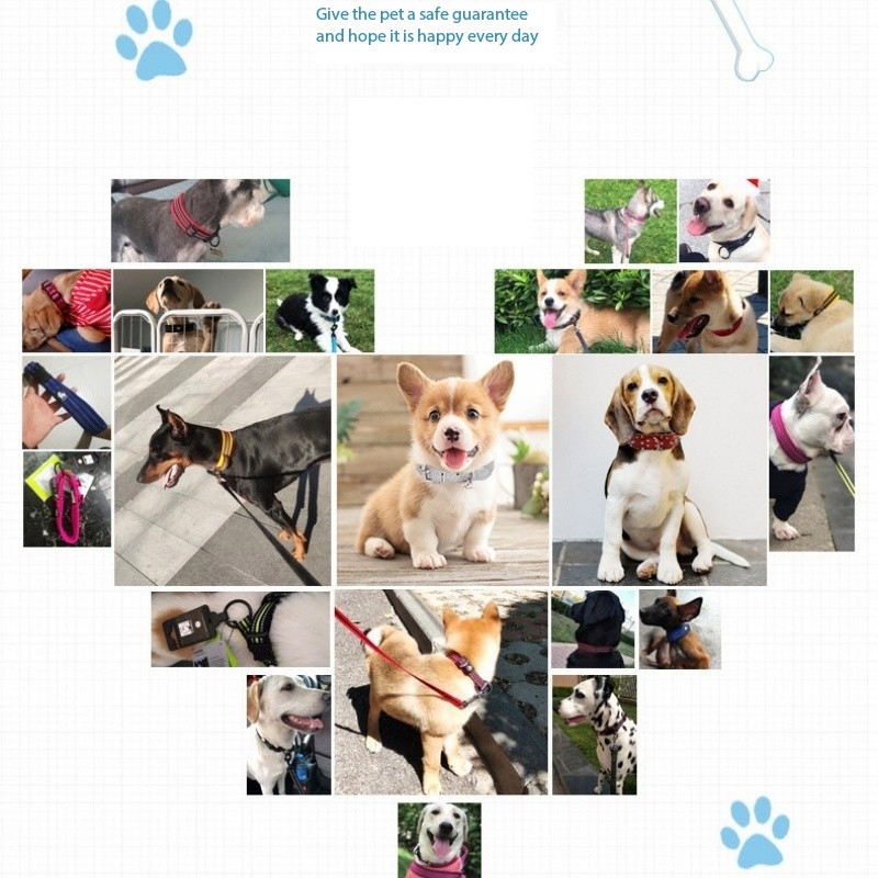 Stylish Rivet Collar for Large Pet Dogs Crocodile Pattern Pointed Diamond Dog Collar