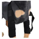 Classic Dog Front Leg Arthritis Brace Black
