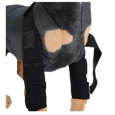 Classic Dog Front Leg Arthritis Brace Black 01