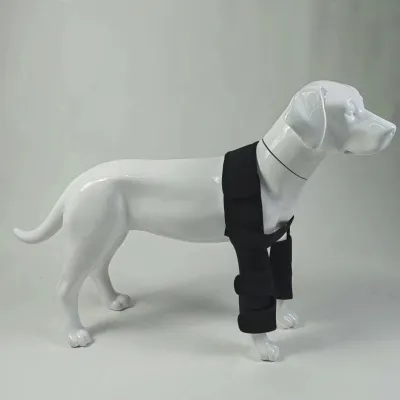 Classic Dog Front Leg Arthritis Brace Black 02