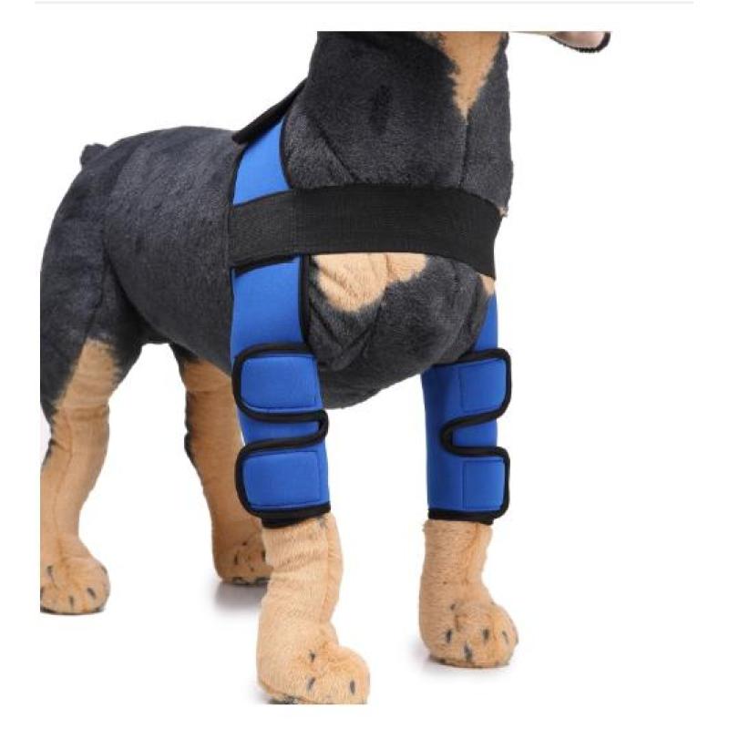 Classic Dog Front Leg Arthritis Brace Blue