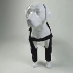 Classic Dog Front Leg Arthritis Brace Blue