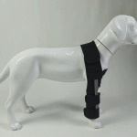 Classic Dog Front Leg Arthritis Brace Blue