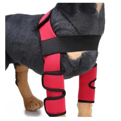 Classic Dog Front Leg Arthritis Brace Red 02