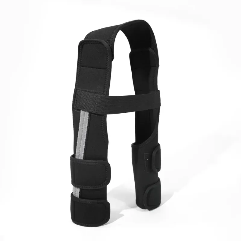 Classic Dog Front Leg Arthritis Brace Red