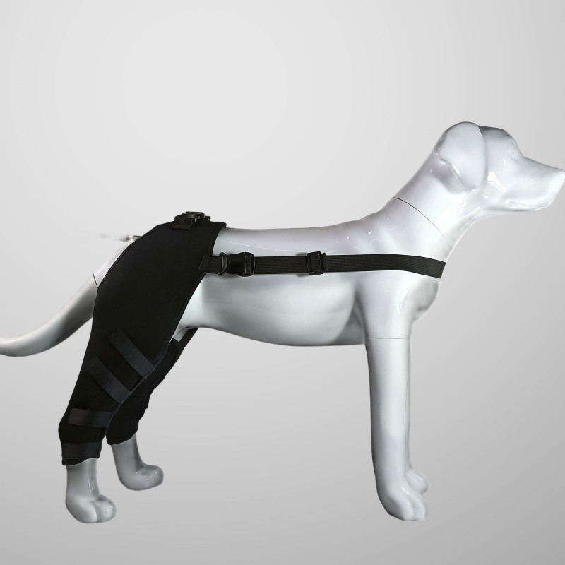 Classic Dog Hind Leg Arthritis Brace Black
