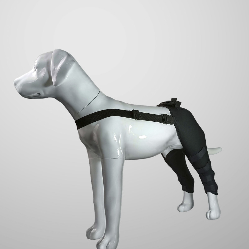 Classic Dog Hind Leg Arthritis Brace Red