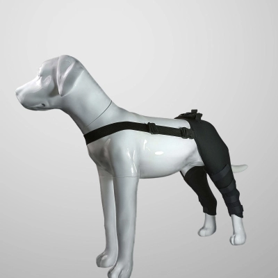 Classic Dog Hind Leg Arthritis Brace Red 02