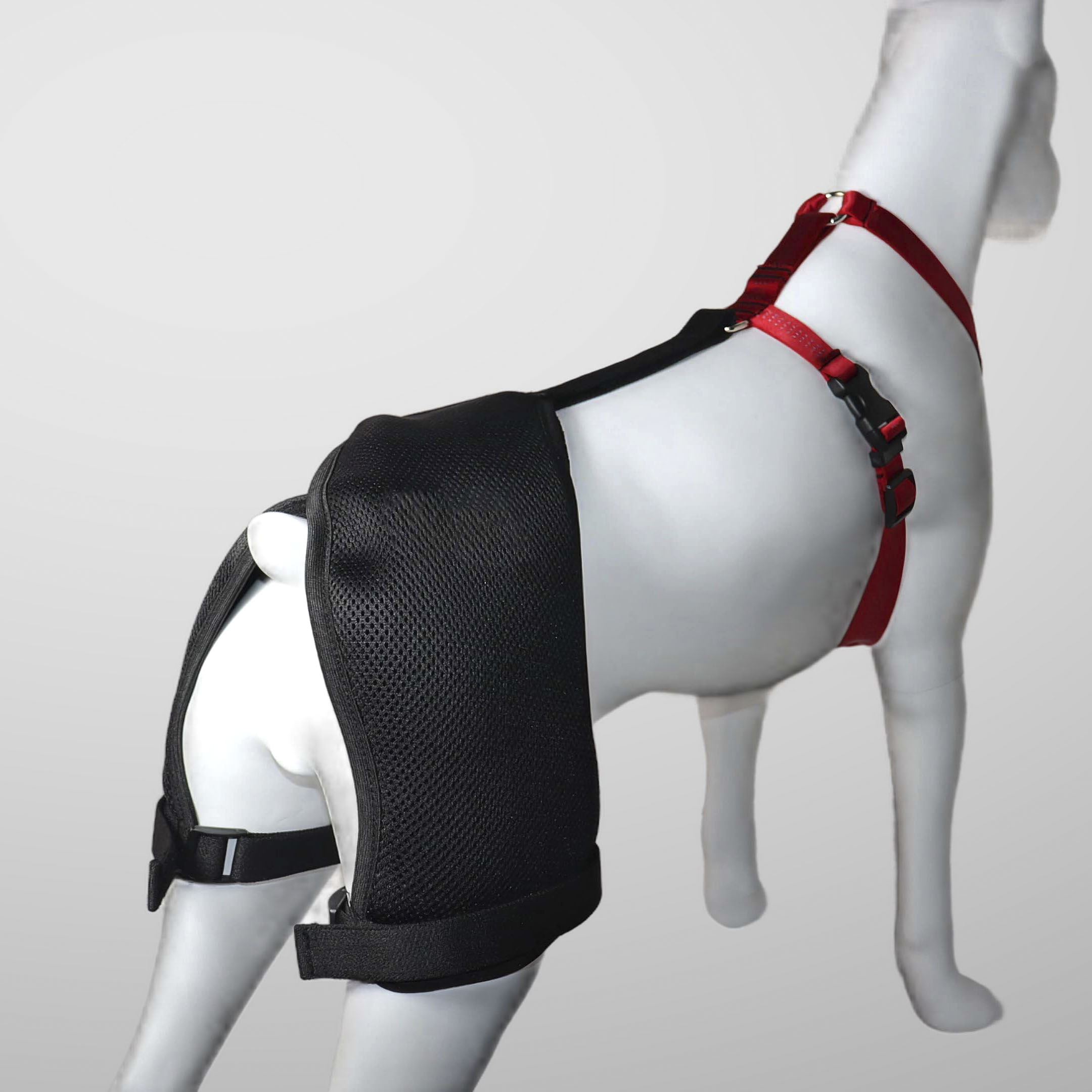 Classic Dog Hip Dysplasia Brace